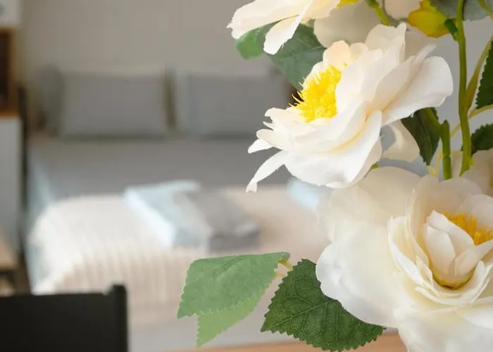 The Cale - Antero De Quental 32 * Porto